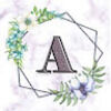 annalisecald287